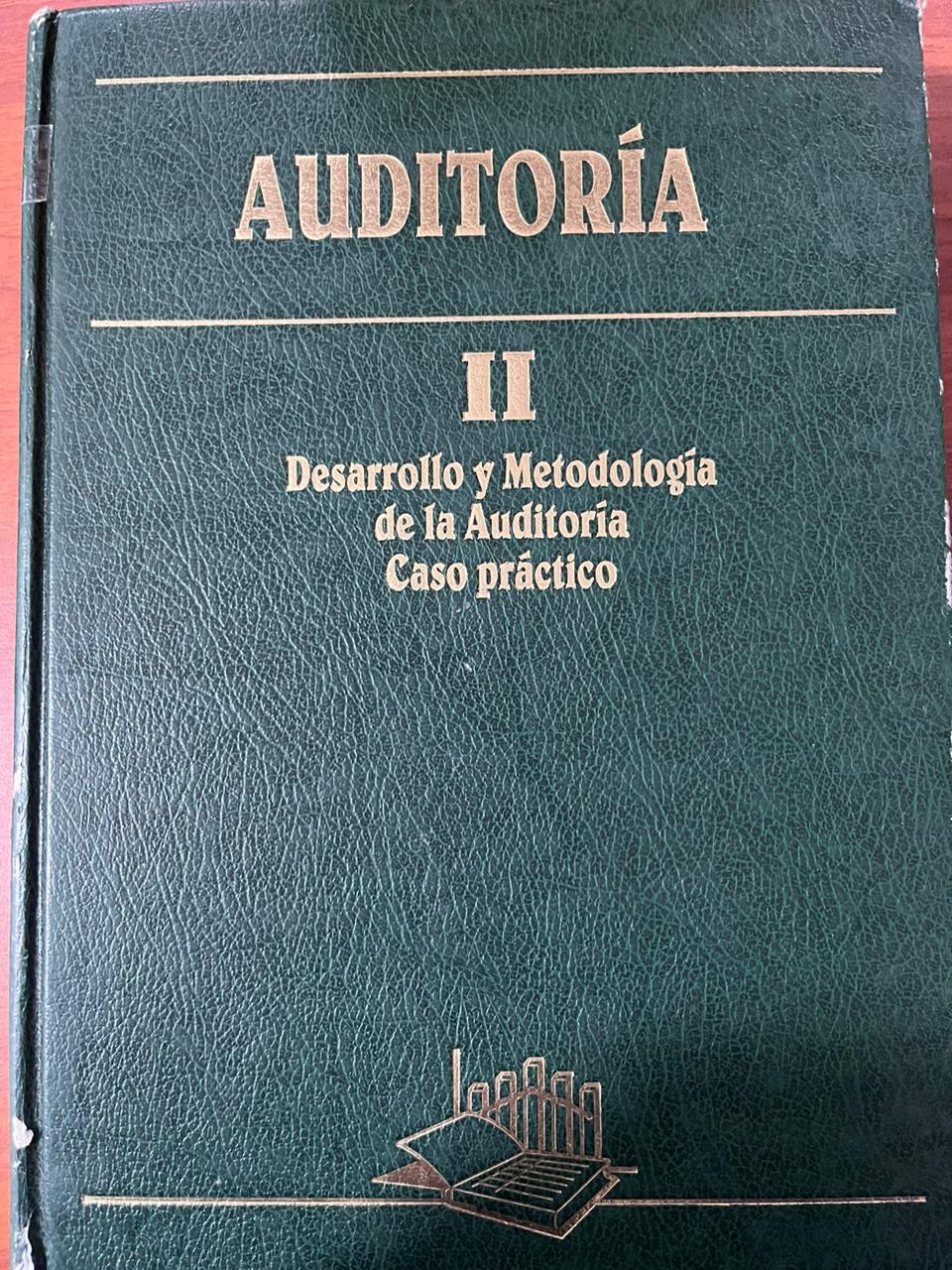 AUDITORÍA II Desarrollo y Metodología de la Auditoría  CASO PRÁCTICO