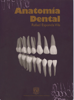 Anatomía dental