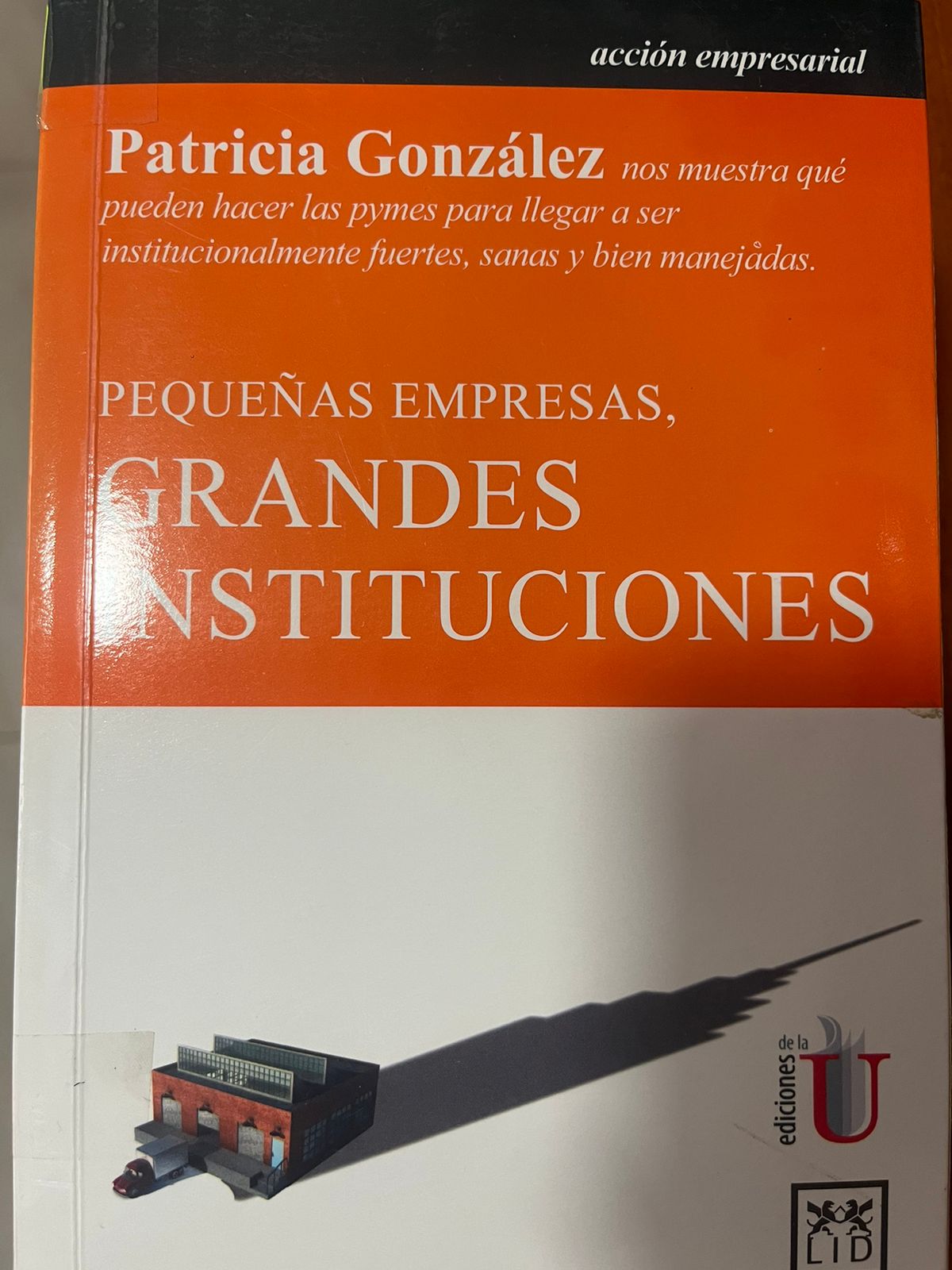 PEQUEÑAS EMPRESAS: GRANDES INSTITUCIONES