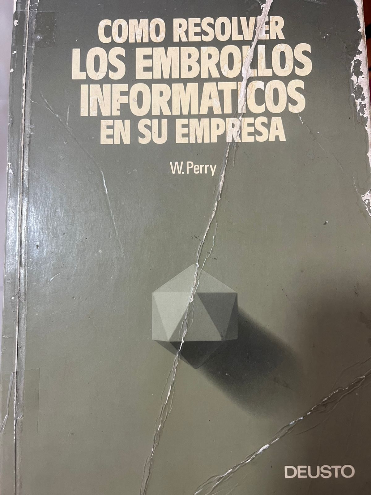 COMO RESOLVER LOS EMBROLLOS INFORMÁTICOS EN SU EMPRESA